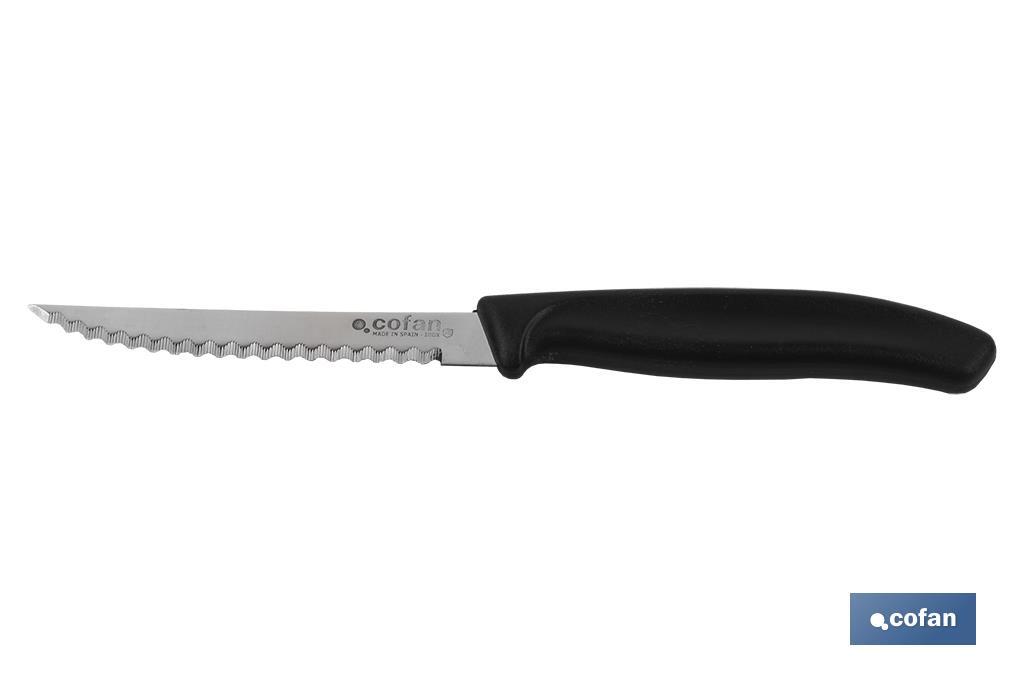 PACK 12 unds CUCHILLO COCINA MICRO MOD GINGER 10,5cm