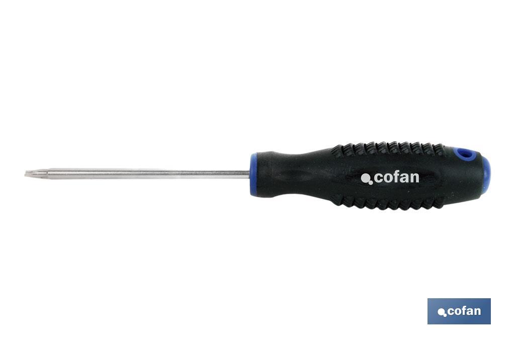 DESTORN. CR-MOLIBDENO SPANNER 6X100 DESTORN. CR-MOLIBDENO SPANNER 6X100