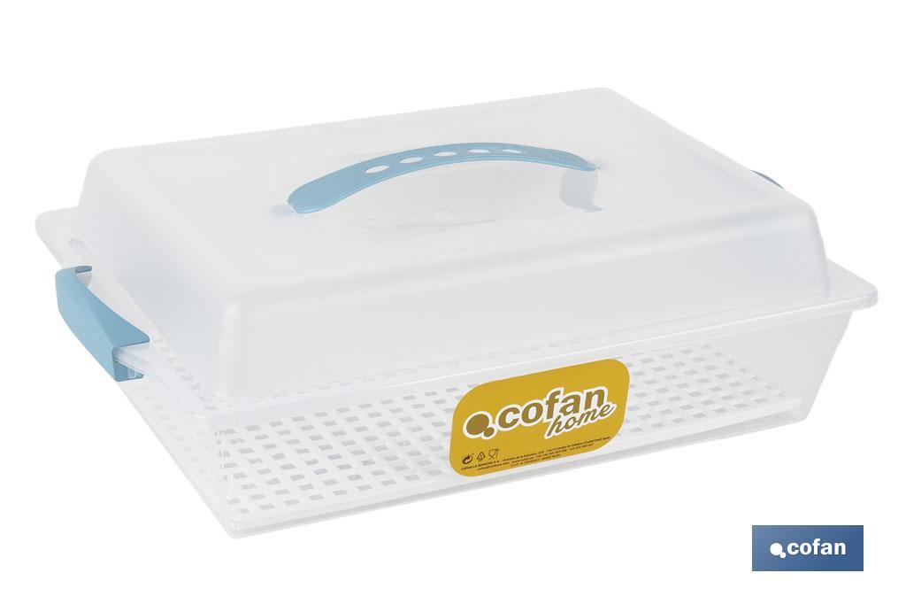 TARTERA RECTANGULAR AZUL OPACA PAVLOVA CON ASAS 38 X 28 X 13 CM venta unitaria