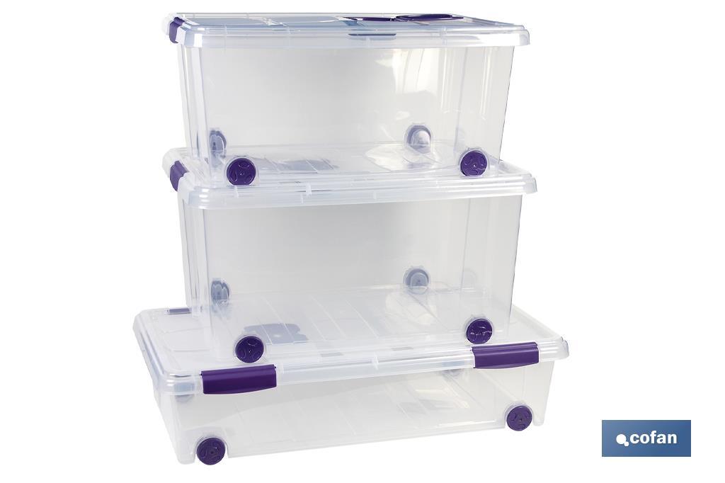 CAJA ORDENACION CON RUEDAS 30L MODELO RICORDI 73X41X18cm CAJA ORDENACION CON RUEDAS 30L MODELO RICORDI 73X41X18cm