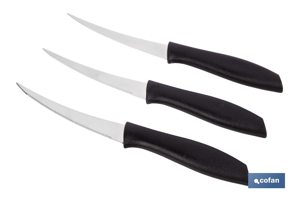 Pack de 3 cuchillos para fruta y verdura con mango ergonómico | Hoja de acero inoxidable | Longitud de la hoja: 10 cm